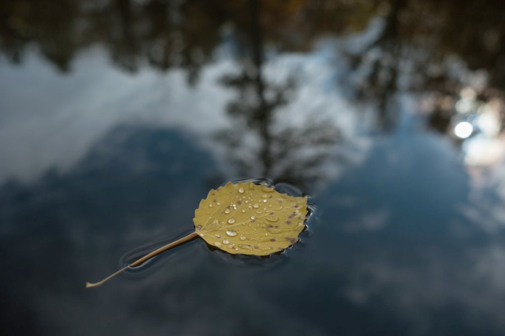 Has God failed&nbsp;you?