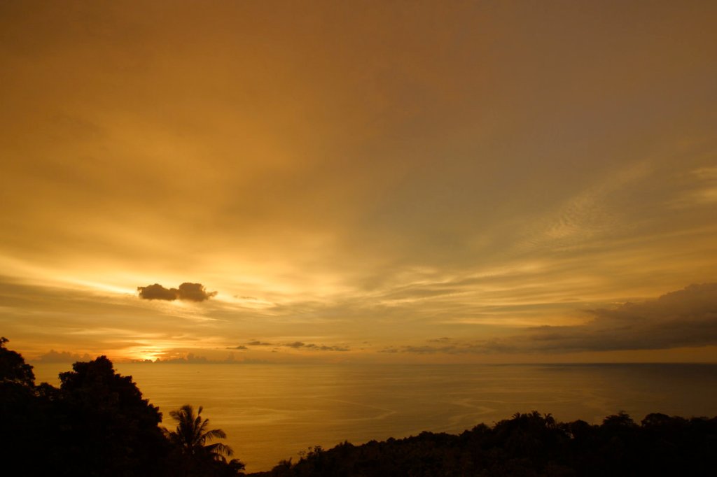 God Is Not&nbsp;Discouraged