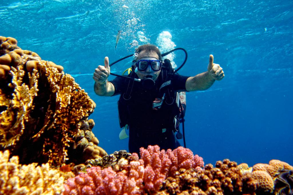 Great Barrier Reef is growing&nbsp;back