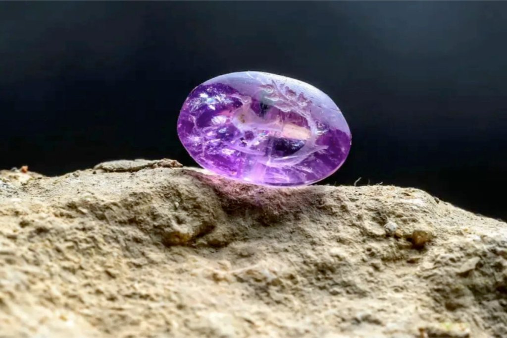 Archaeologists discover rare depiction of Balm of&nbsp;Gilead