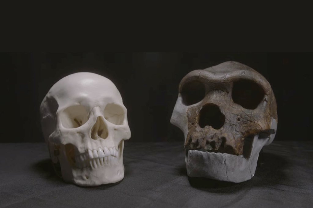 Anthropology confirms the Bible’s description of a race of&nbsp;GIANTS