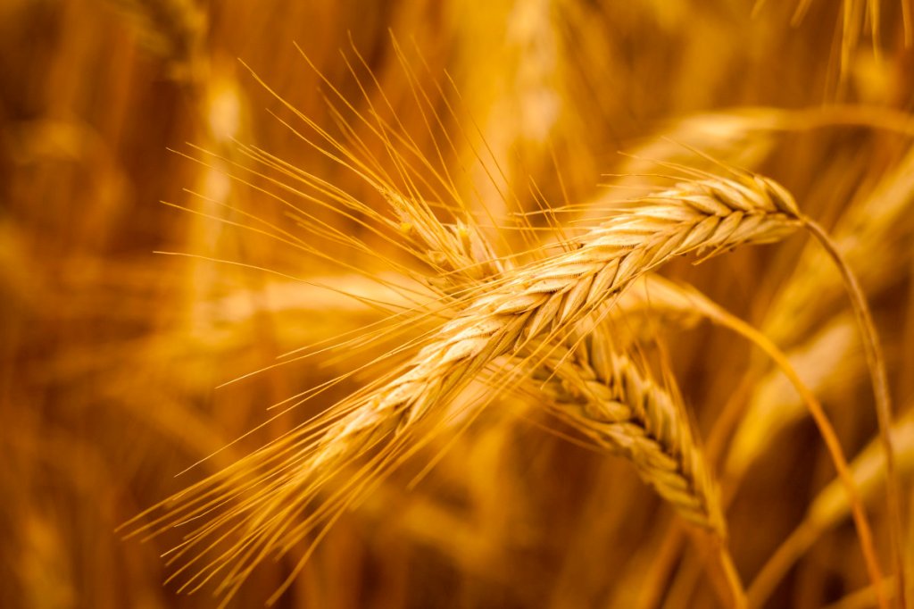 Re-thinking the way into the&nbsp;Field