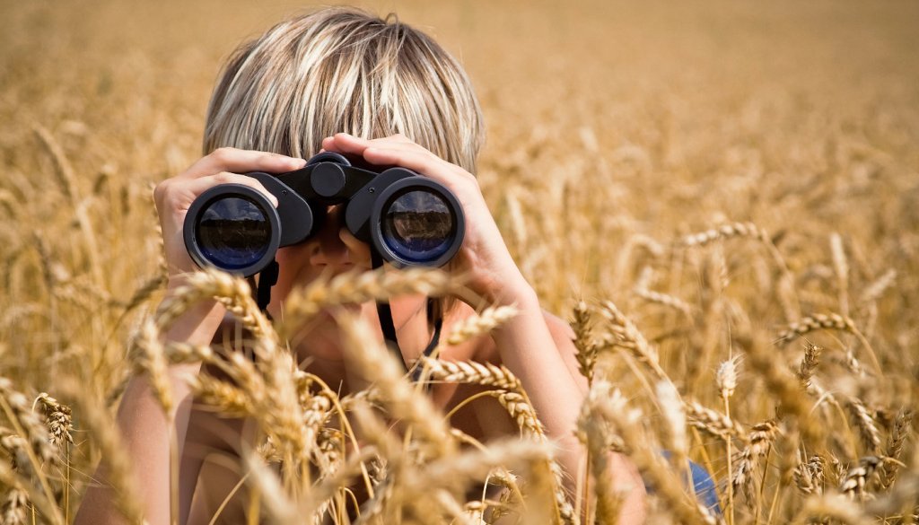 Facebook censors a meme of boys playing accusing it of gender&nbsp;stereotyping