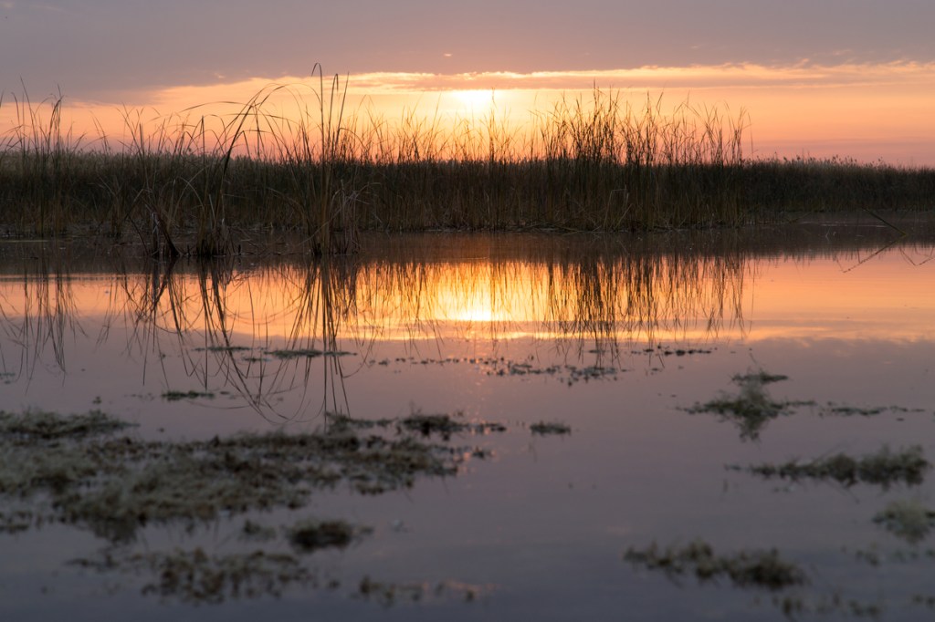 So, who has the religion of&nbsp;peace?