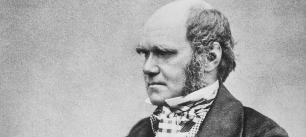 Evolution: Do we have to&nbsp;believe?