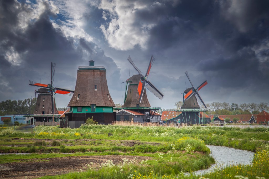 The left’s attack on agriculture takes a sinister turn in&nbsp;Holland