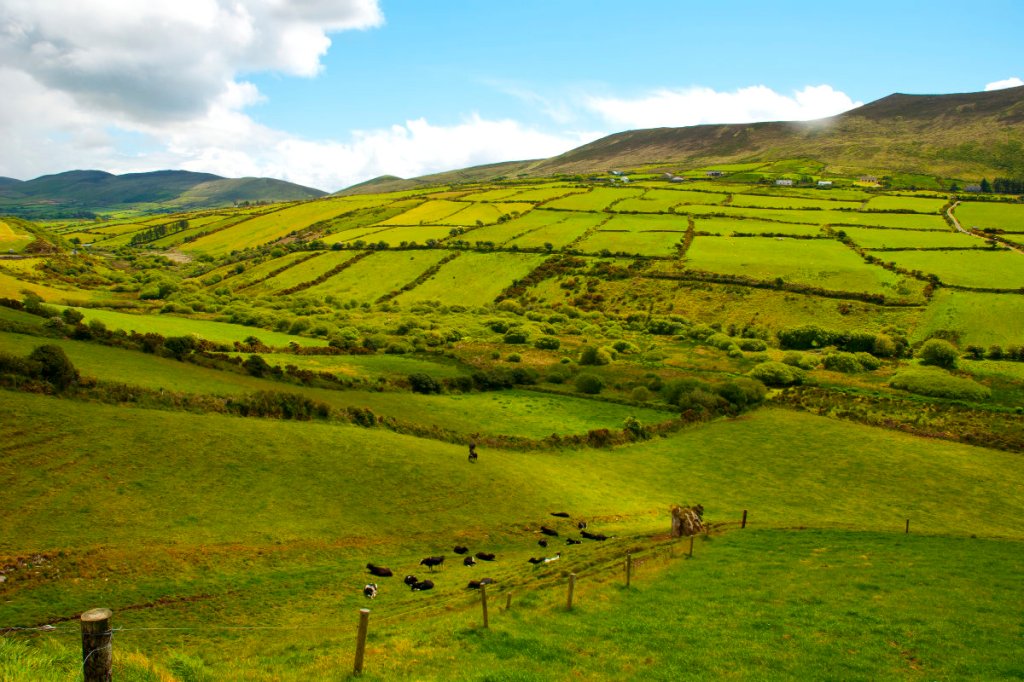 Ireland: Another country’s left-wing politicians target&nbsp;agriculture