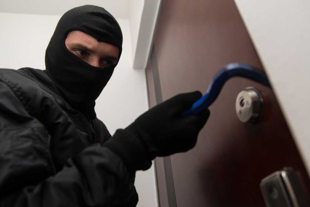 New York: A license to&nbsp;steal?