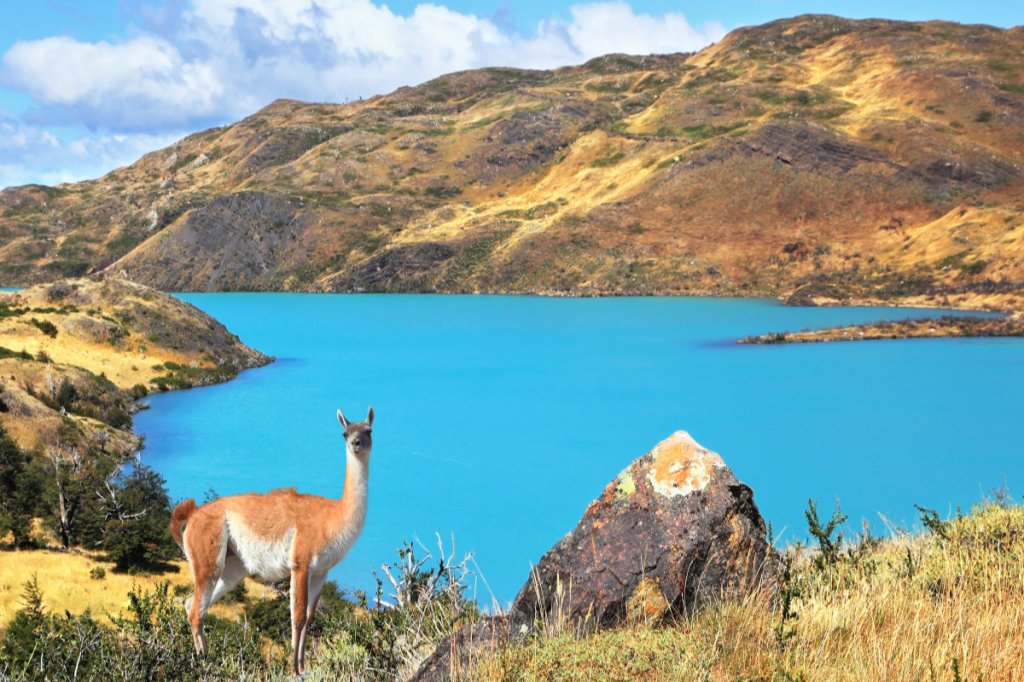 Chile rejects socialist&nbsp;constitution