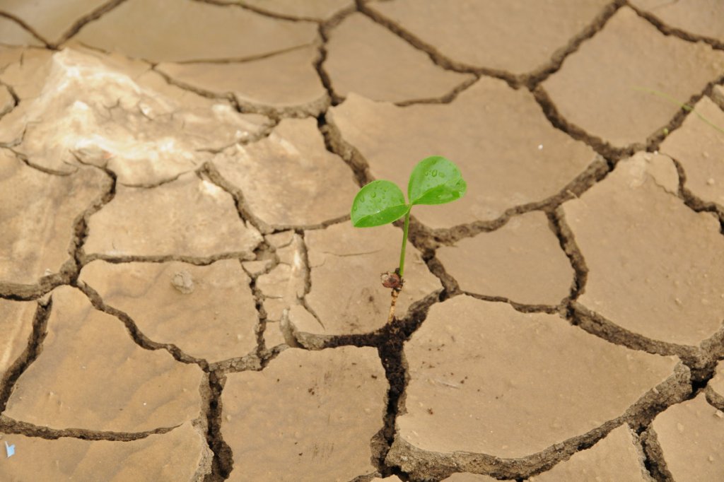 Seven Steps to Help Unite the Church of&nbsp;America