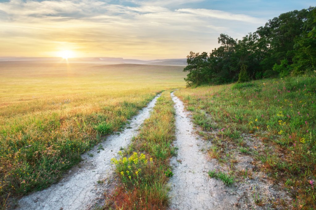 The Pit and the&nbsp;Path