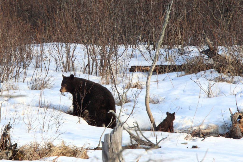 A bad day with the&nbsp;kids