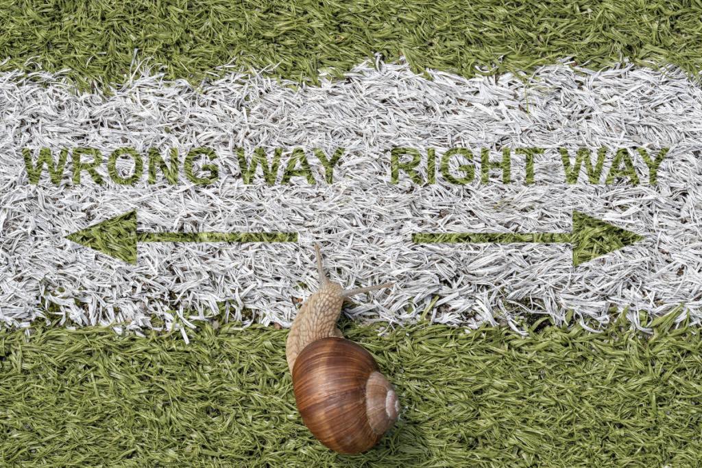 All religions lead to the same place: Agree –&nbsp;Disagree