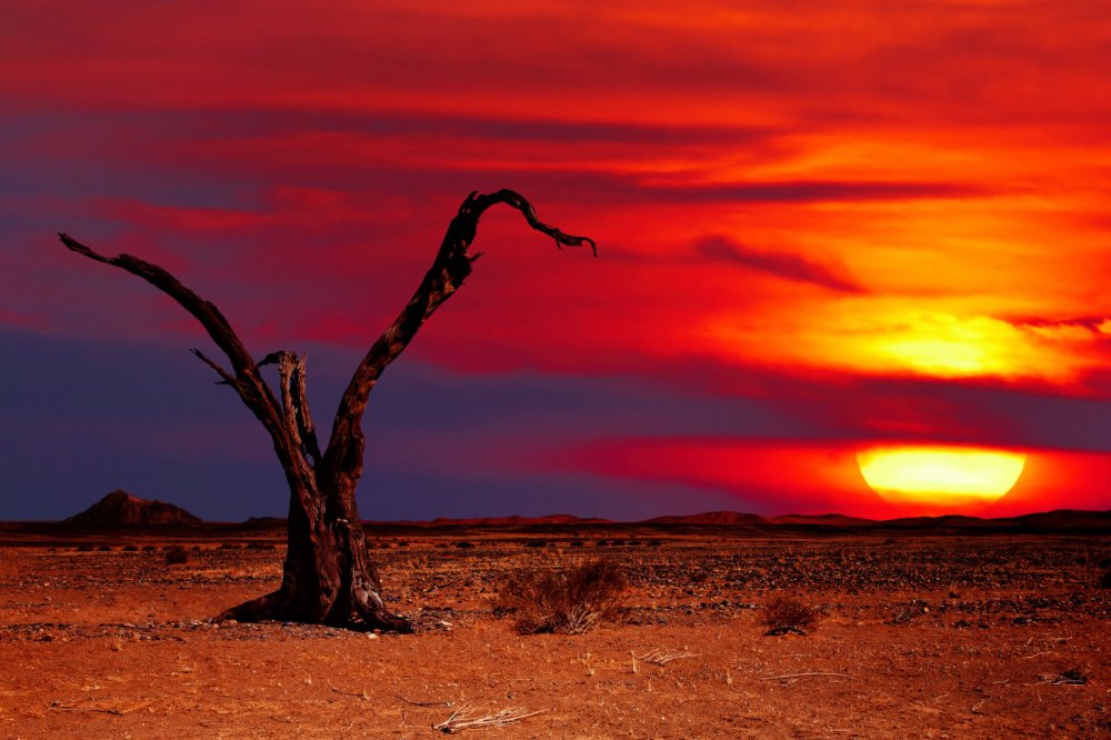 A river turns blood-red in Iran. Is it a sign of the end times ...