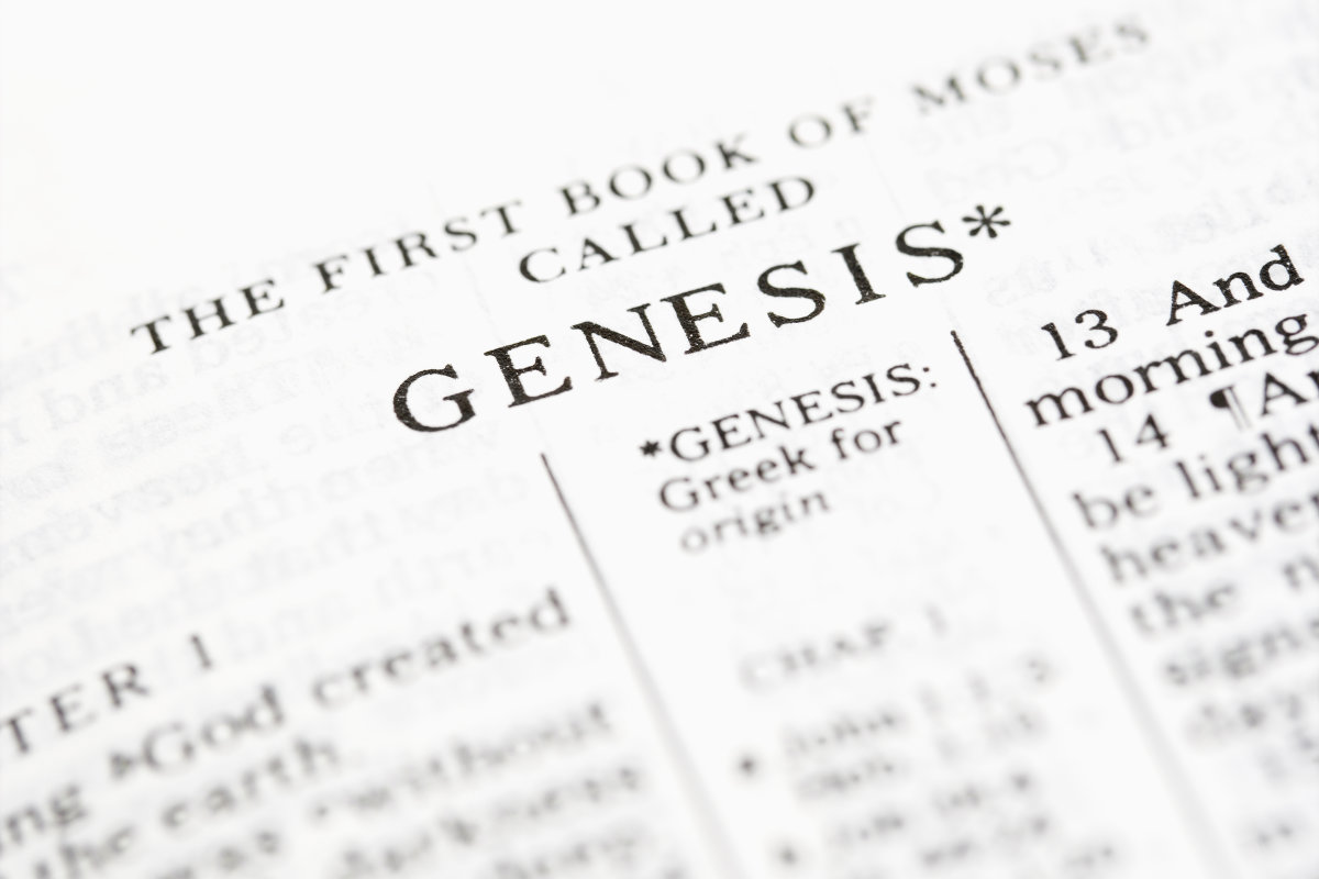 PETA uses AI to rewrite the Book of Genesis – OpentheWord.org