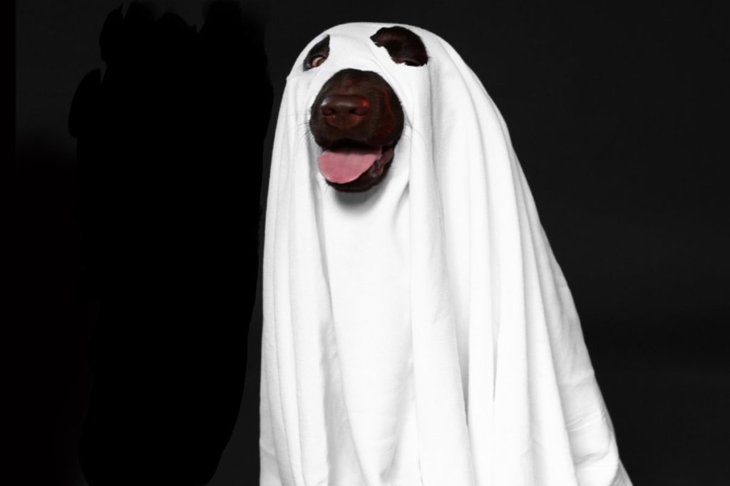 Survey reveals American’s beliefs in supernatural&nbsp;beings