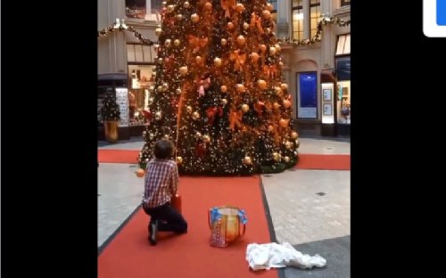 'Last Generation' climate change activist spraying orange paint on a Christmas tree in Germany on December 13, 2023, as part of their climate change protest