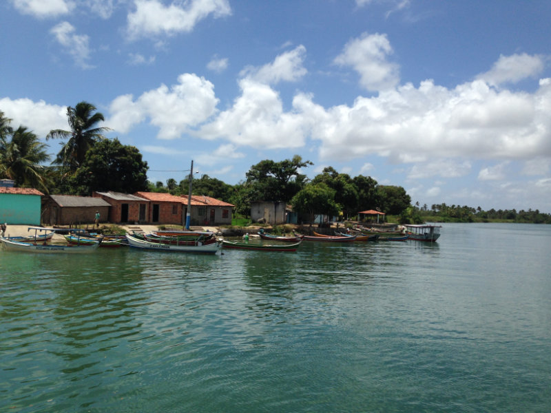 Ribeirinhos dwellings typical of the type of housing found along the Amazon River