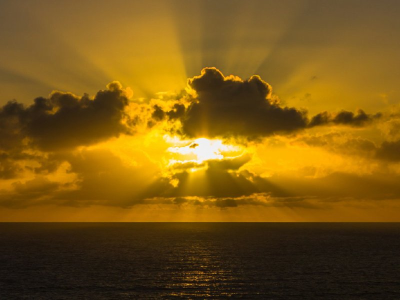 La Presencia Manifiesta de&nbsp;Dios