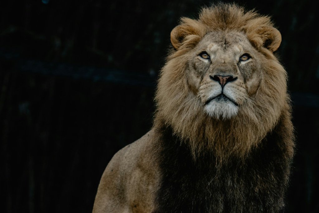 145 | Did God Roar from&nbsp;Zion?