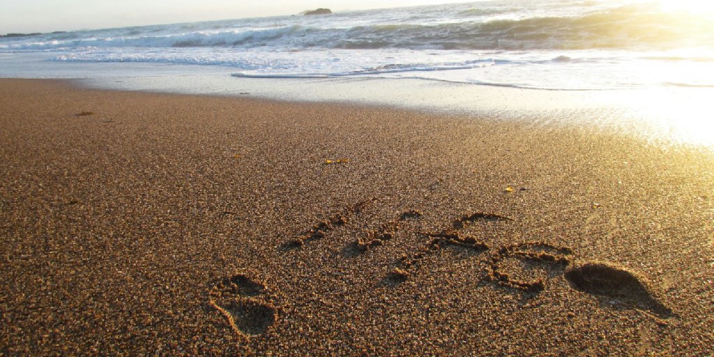 A Dream About What ….?