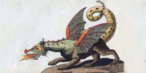 Painting of a Dragon by Friedrich Johann Justin-bertuch