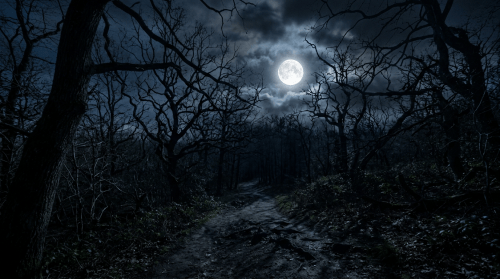 Full moon shining over a winding path through a dark forest